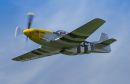 DSC2952.jpg