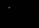 DSC3246.jpg
