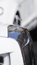 DSC7461--RR.jpg