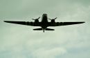 DSC_0380_800x523_.jpg