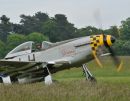 DSC_1038_800x627_.jpg