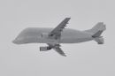 DSC_2677M.jpg