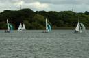 DSC_3527a.jpg