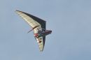 DSC_3712M.jpg