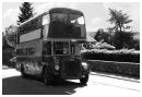 Daimler_CVG6_-_Roe.jpg