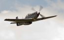 Flying_Legends_Duxford_2011_189_copy.jpg
