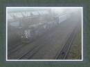 Foggy_Train.jpg