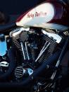 Harley-1.jpg