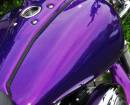 Harley8.jpg