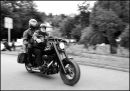 Harley_Weekend4_Aug_12.jpg