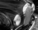 IMG_0288_Medium_.JPG