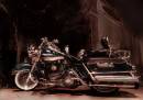IMG_2107-Harley.jpg