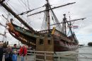 IMG_2226a.jpg