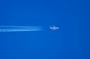IMG_3361a100-400.jpg