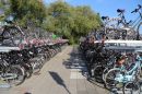 IMG_6833a.jpg