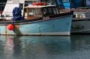 IMG_7281_1.JPG