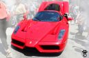 IMG_8308-s.jpg