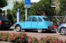 IMG_8449a.jpg