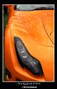 IMG_8528-01.jpg