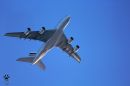 IMG_9572-s.jpg