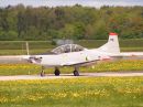 Irish-P9.jpg