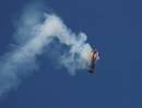 Jordanian_Falcon_2.jpg