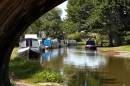 Macclesfieldcanal.jpg
