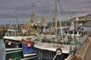 Mallaig_harbour-2-2.jpg