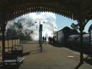 Morning_Steam_at_Cootamundra_12-9-06.JPG