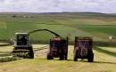 Mowing_for_silage.jpg