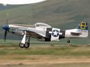 Mustang-P51D_I-I.jpg