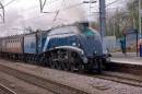 Nigel_Gresley.jpg