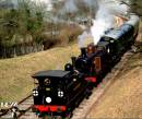 Normandy_Birch_Grove_Bluebell_Railway_290204_109.jpg