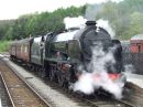 REPTON_30926.jpg