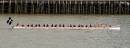 Row-row-row-the-boat.jpg