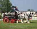 /gallery/data/504/thumbs/SHIRE_HORSE_S.jpg