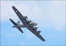 Sally_B.jpg
