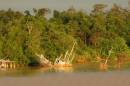 Sarawak_Day_9_064B.jpg
