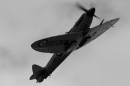 Seafire_XV_DX_2006.jpg