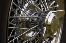 Spokes.jpg