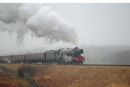 Steam-in-the-Mist.jpg