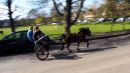Sulky-_Racing_Cart_.jpg
