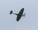 TVA38022.jpg