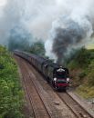 Tangmere_-_Hemerdon.jpg