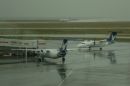 Test_131_PROGRAM_ISO_-_200_AUTO_EV_-PLUS_0_3_WHITE_RING_FACING_CAMERA_LOCALE_C.jpg