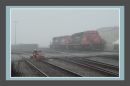 Test_624_a_ALL_AUTO_-_RAW_UMBER_BOTTOM_PATCH_GREY_CARD_C.jpg
