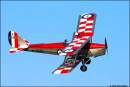 Tiger_Moth_II.jpg