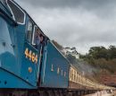 Train_Driver.jpg
