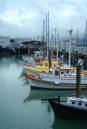 WharfBoats1.jpg