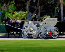 White_Carriage_DSCN0484.jpg